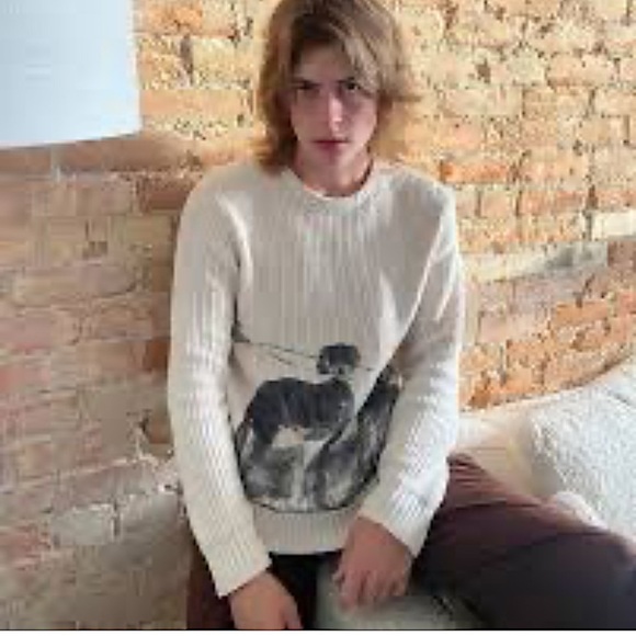 Basketcase Sweater Dogs on A Leash Graphic Like New - Picture 11 of 13